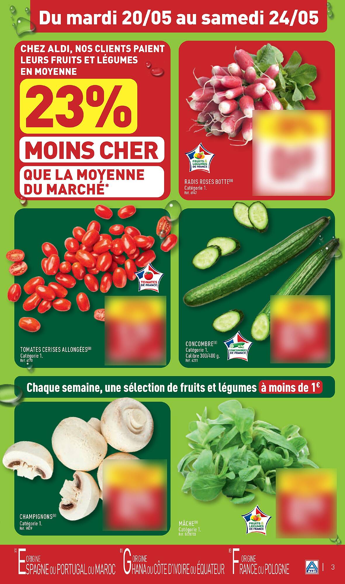 ALDI Catalogue