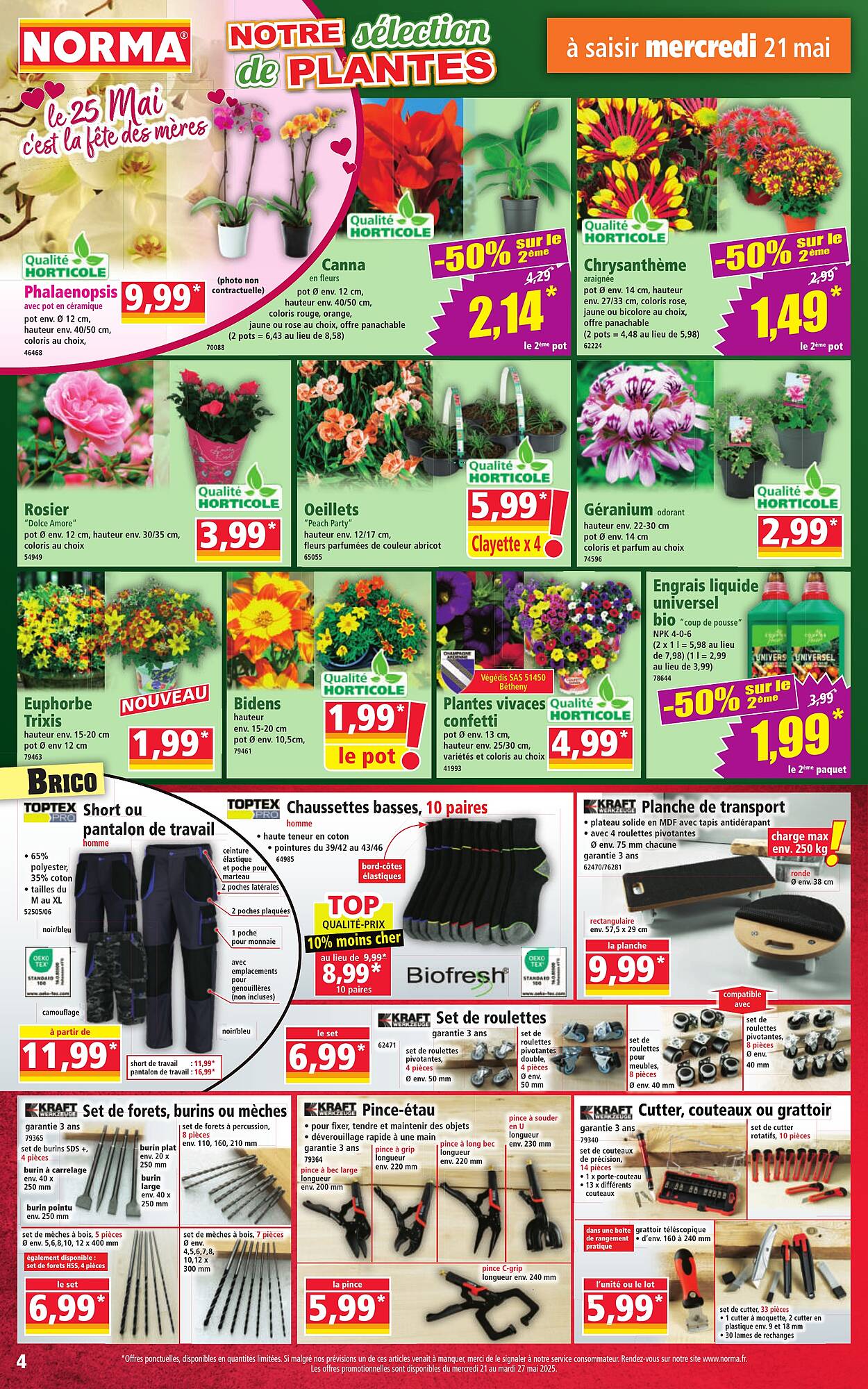 Norma Catalogue