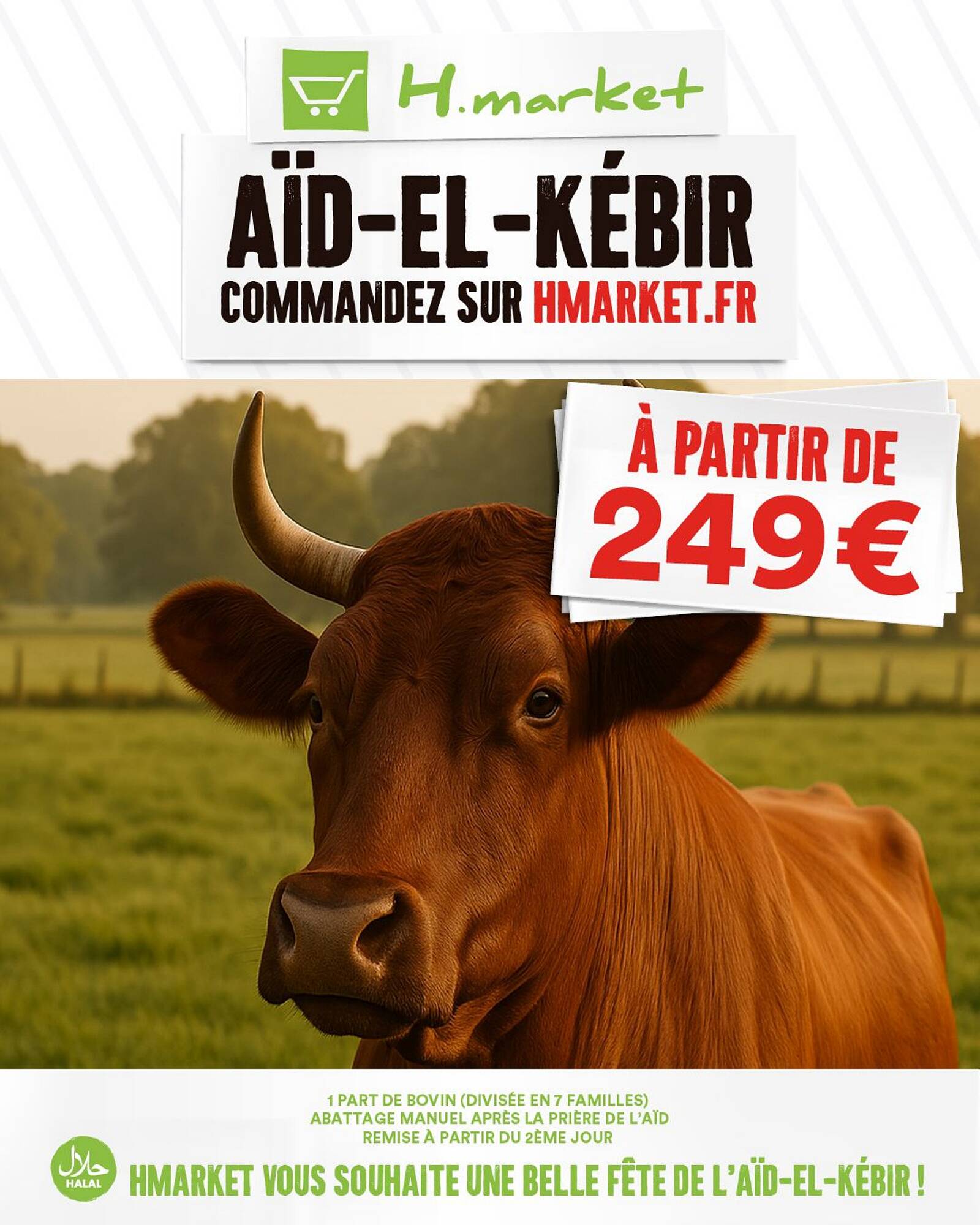 Hmarket Catalogue