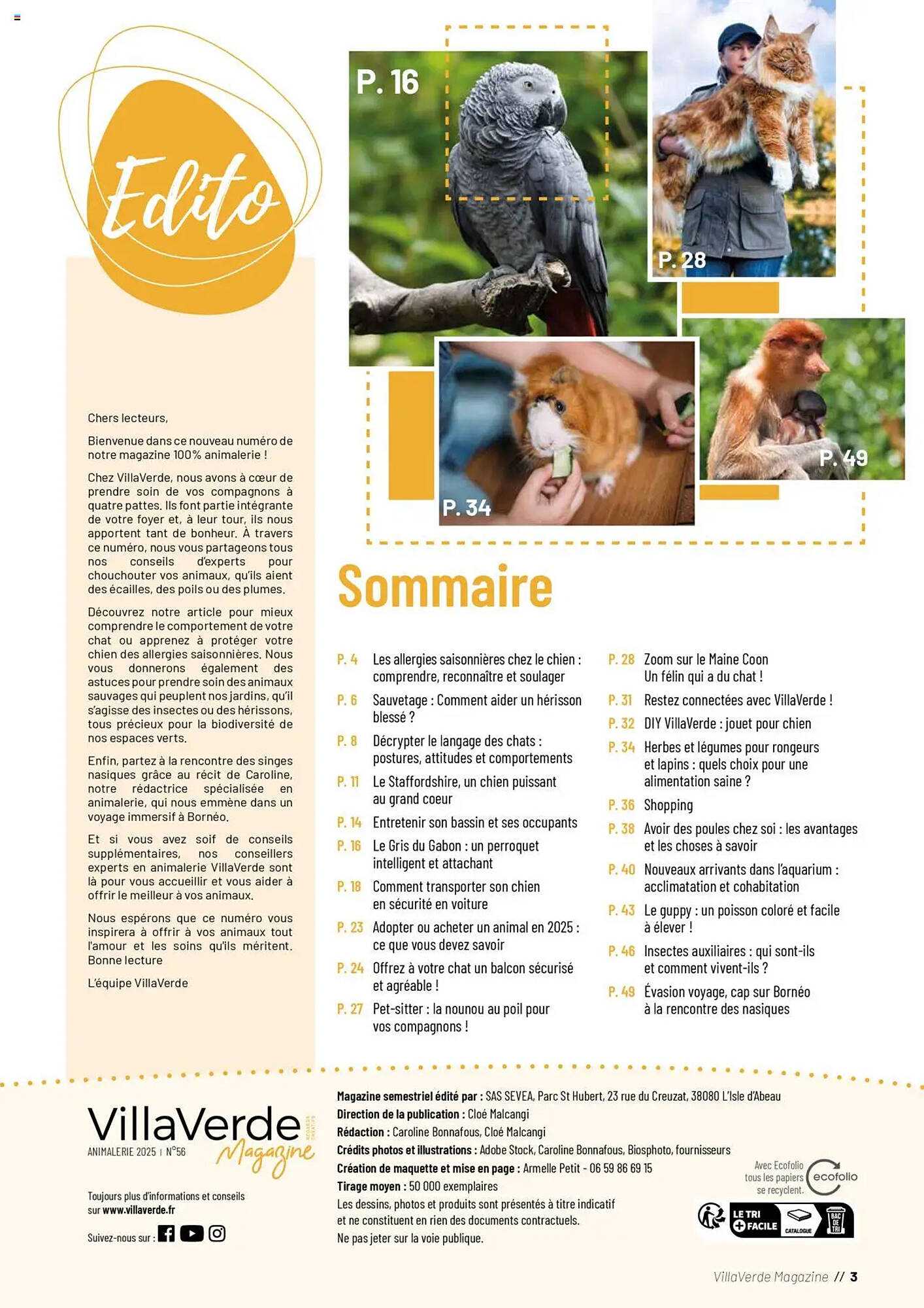 VillaVerde Catalogue