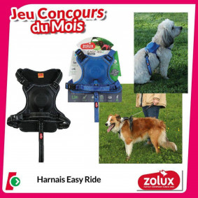 Les Briconautes Catalogue