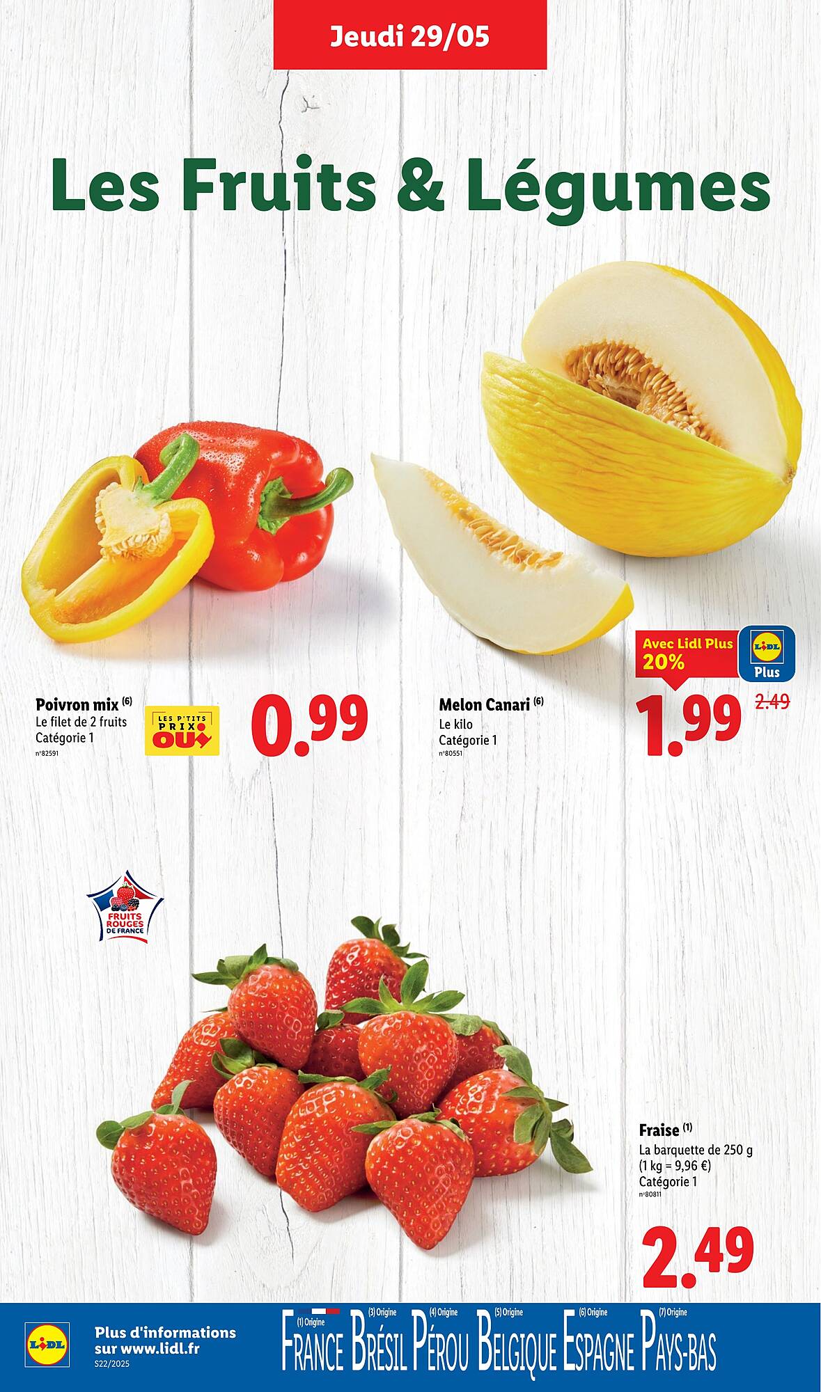Lidl Catalogue