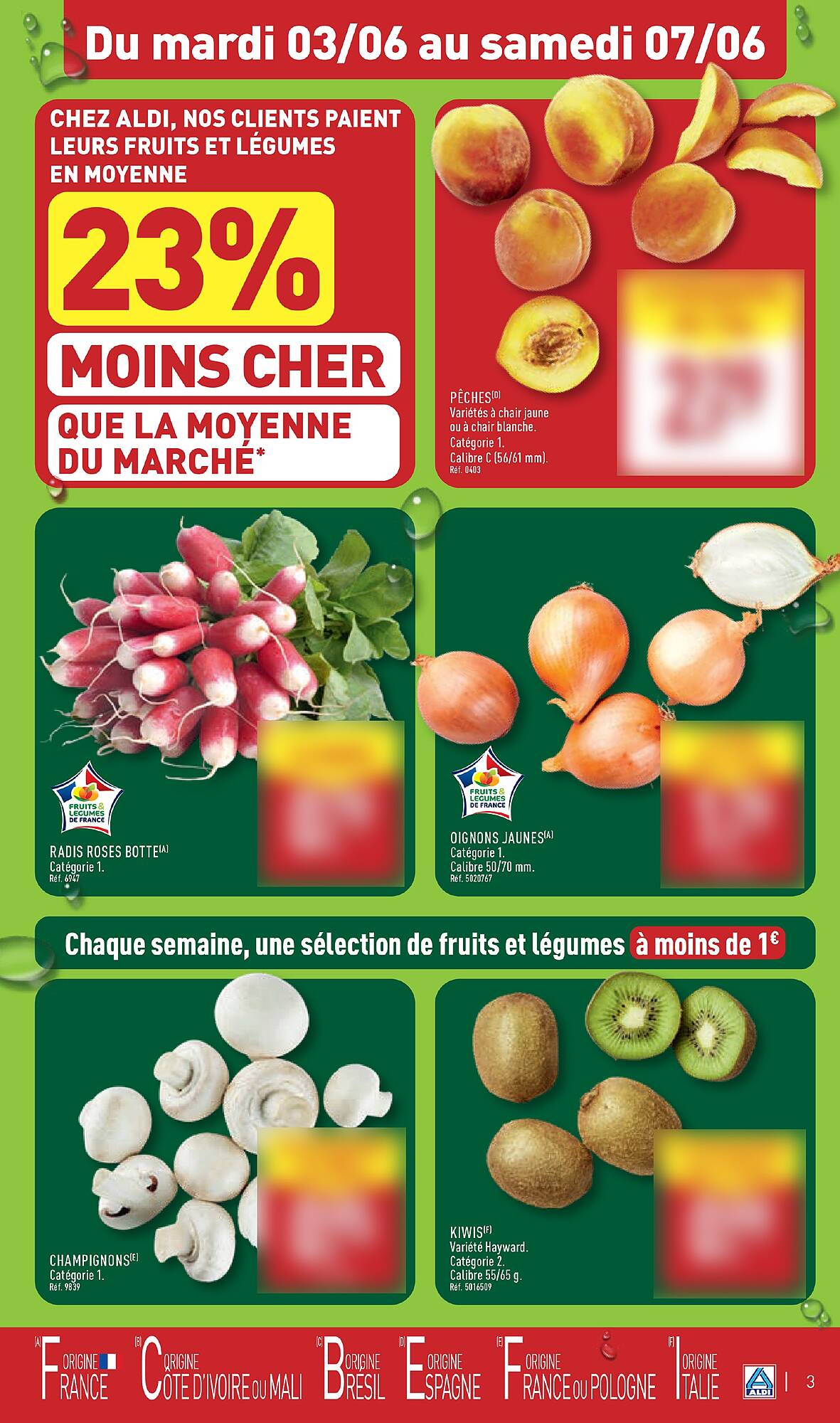 ALDI Catalogue