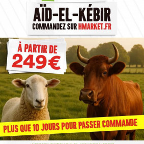 Hmarket Catalogue
