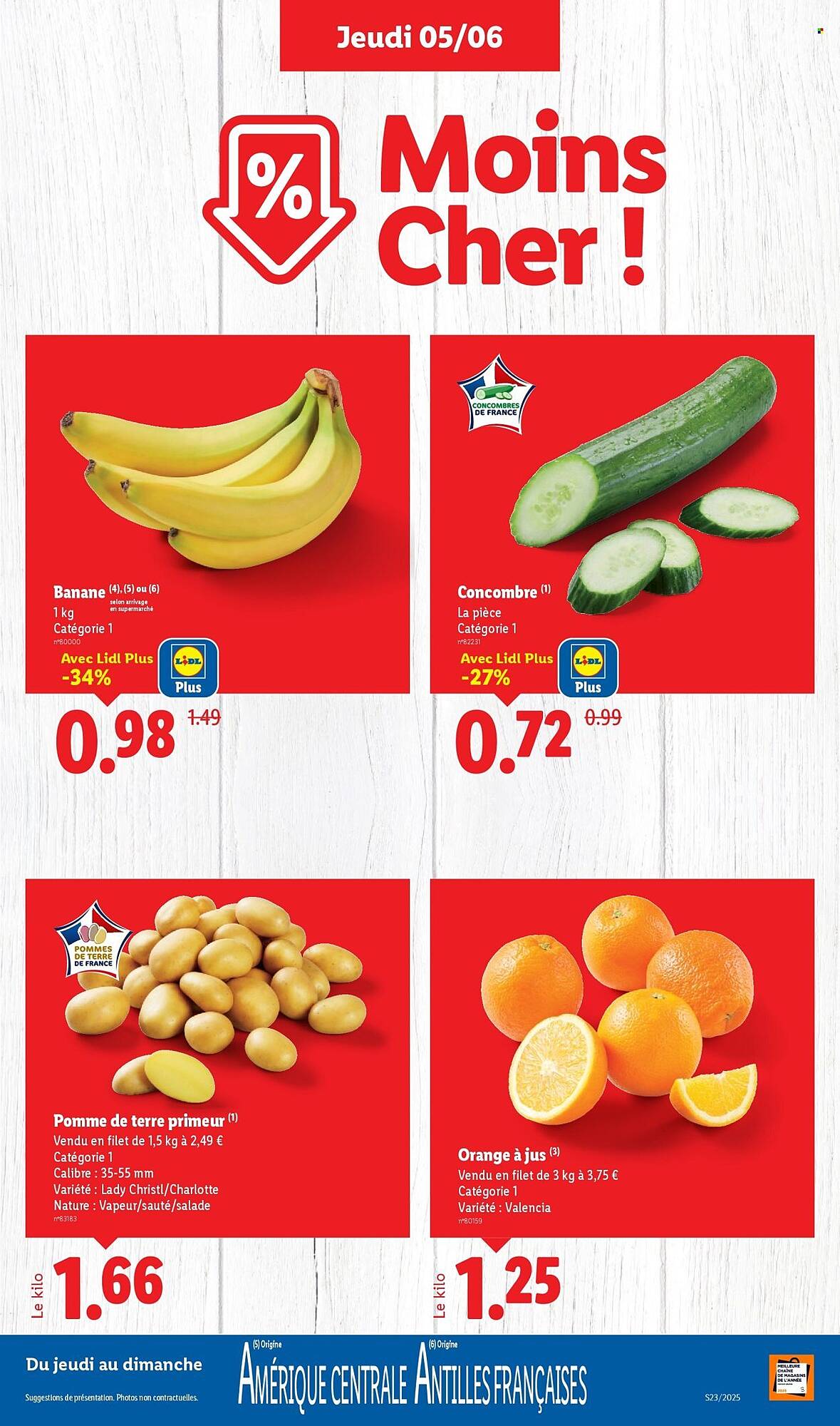 Lidl Catalogue