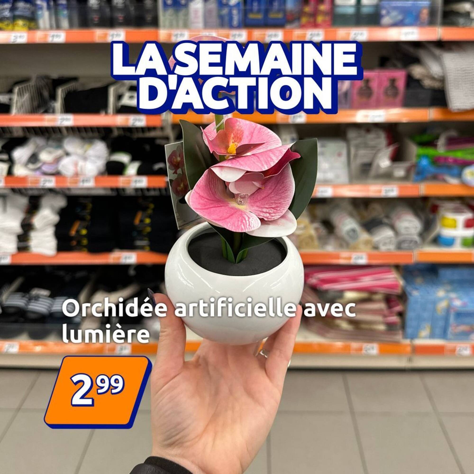 Action Catalogue