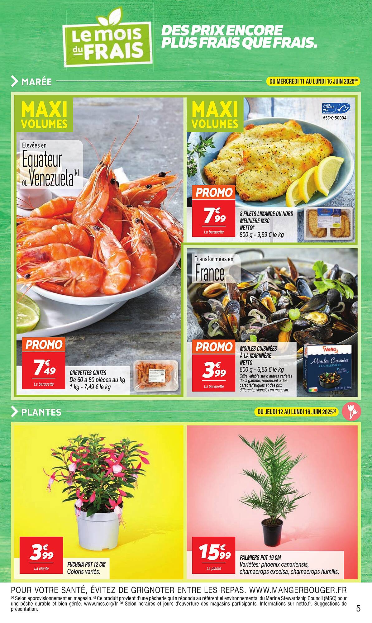 Netto Catalogue
