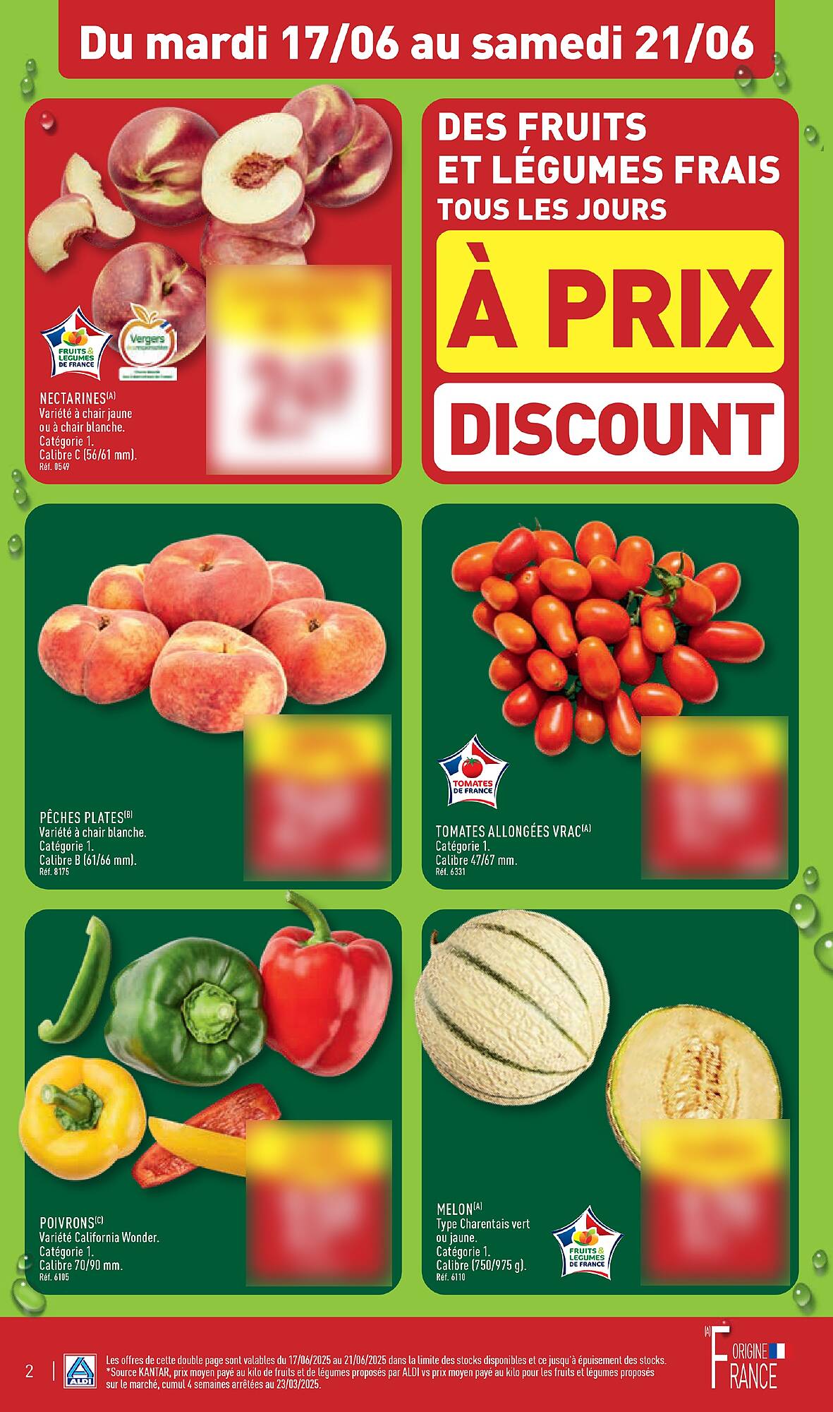 ALDI Catalogue