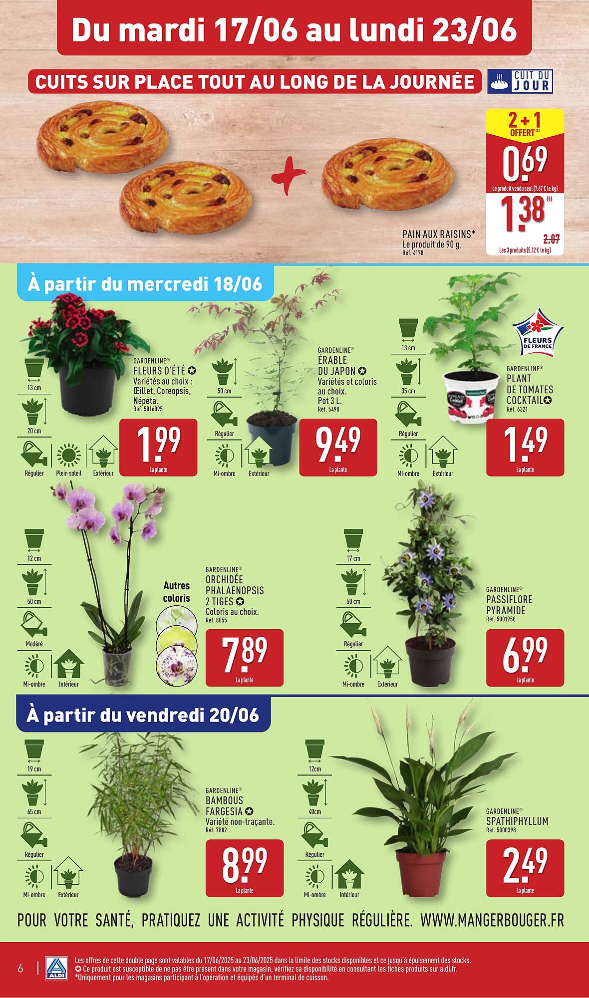 ALDI Catalogue