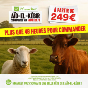 Hmarket Catalogue