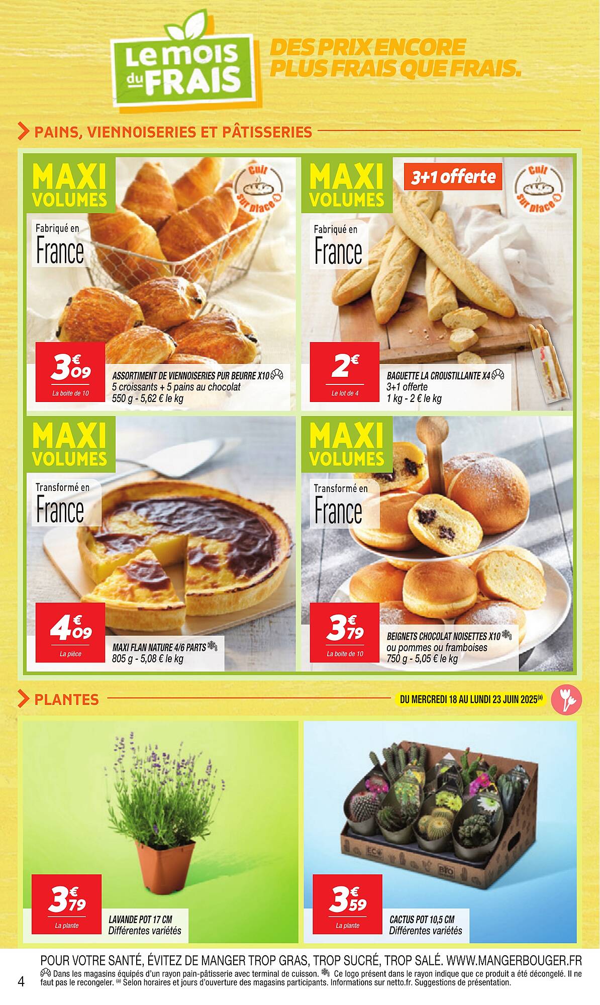 Netto Catalogue