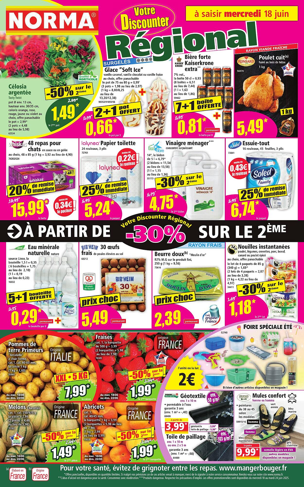Norma Catalogue