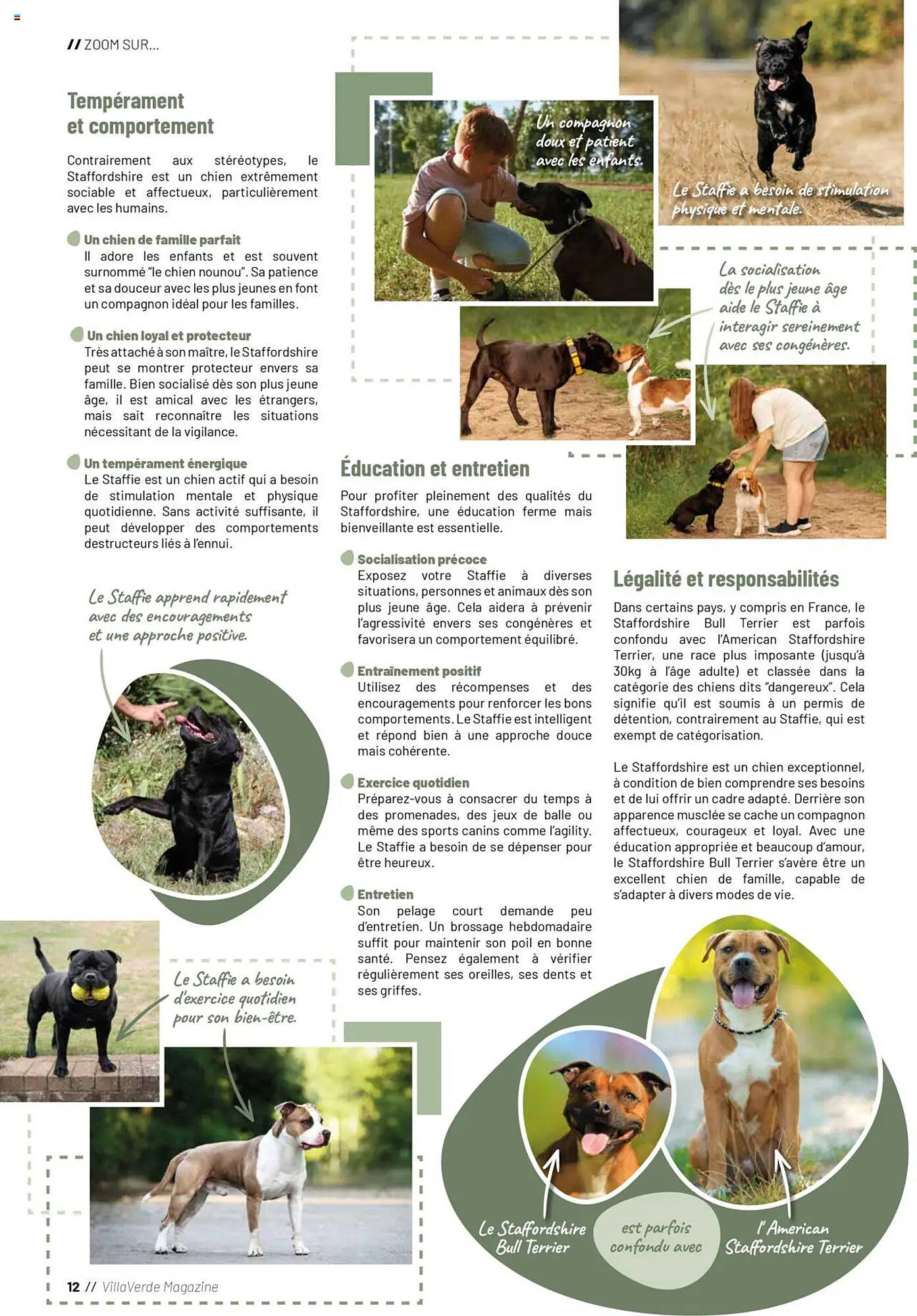 VillaVerde Catalogue - Pagina 12