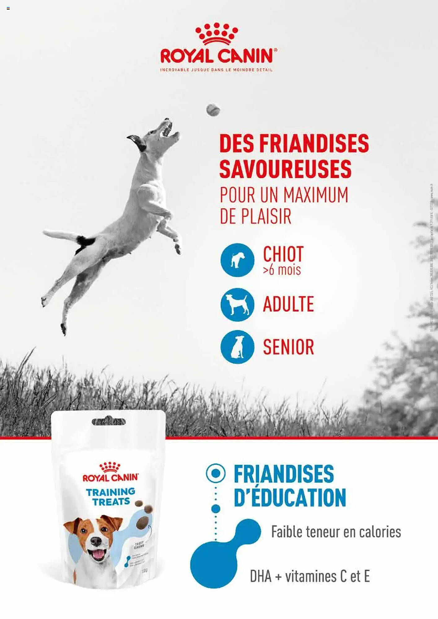 VillaVerde Catalogue - Pagina 21