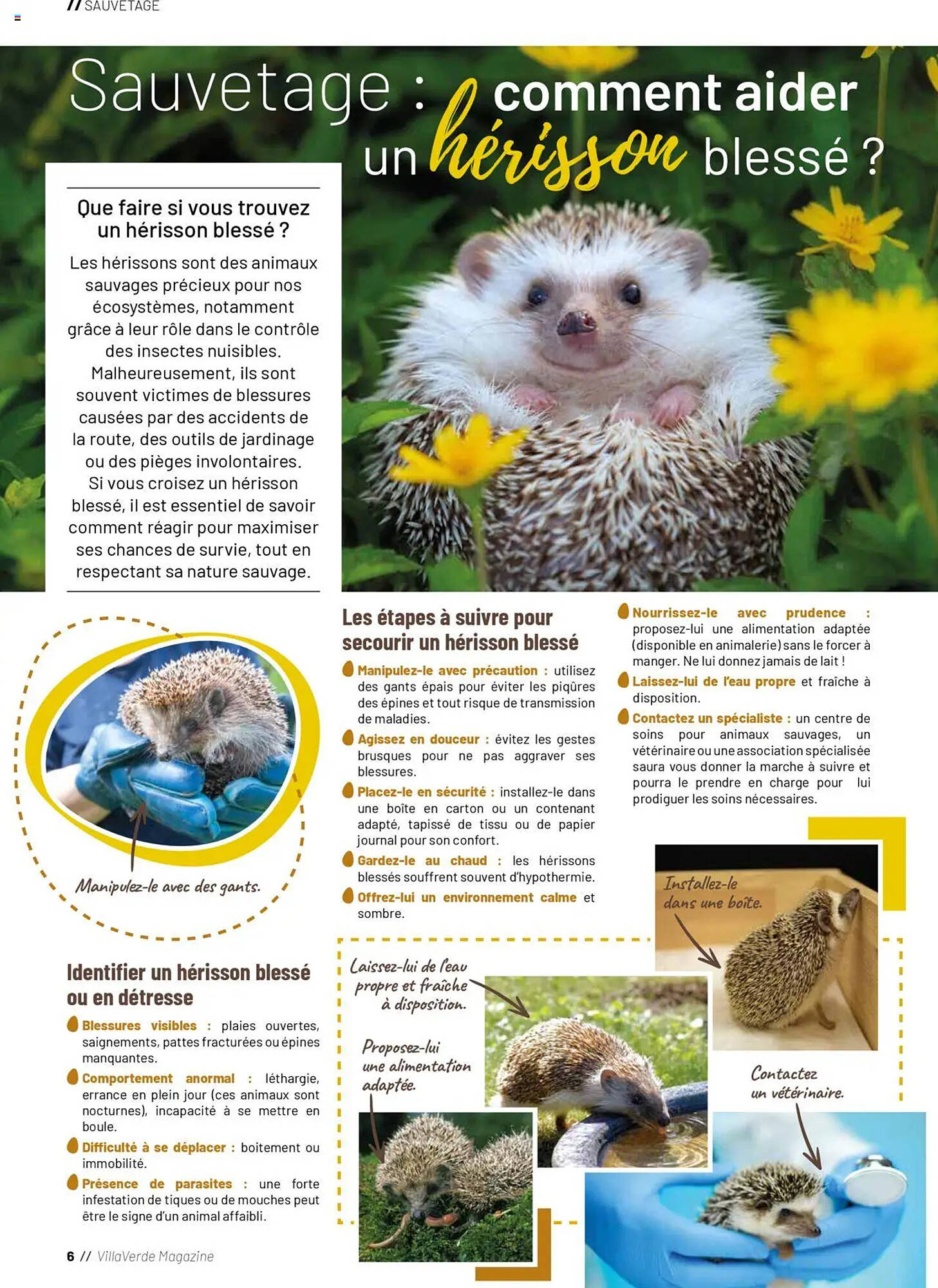 VillaVerde Catalogue - Pagina 6