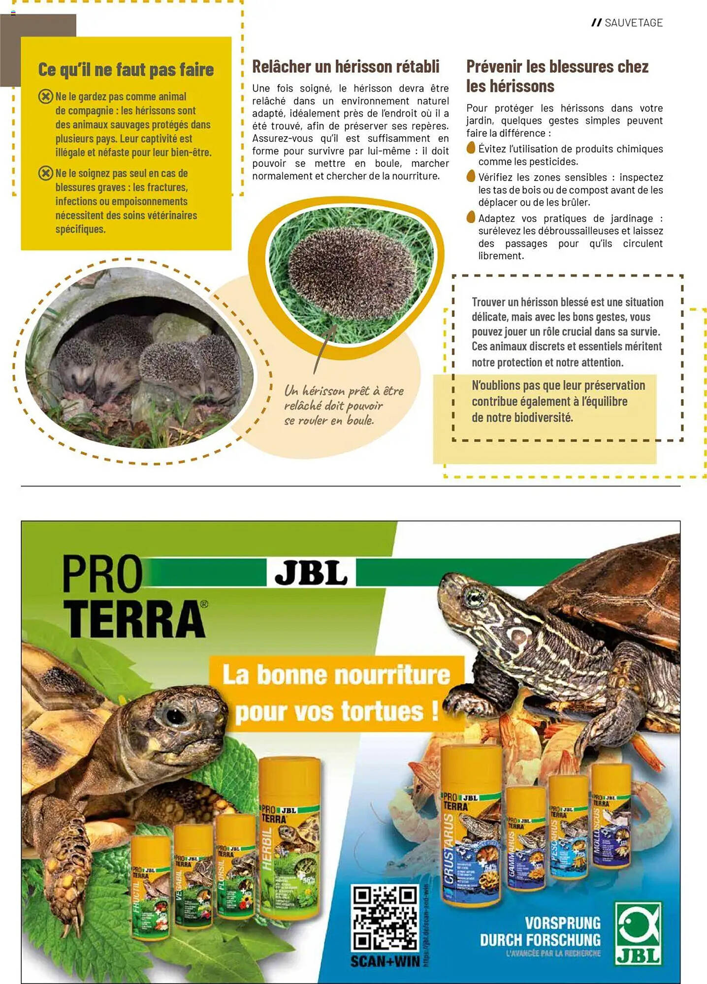 VillaVerde Catalogue - Pagina 7