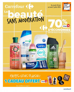Carrefour Catalogue
