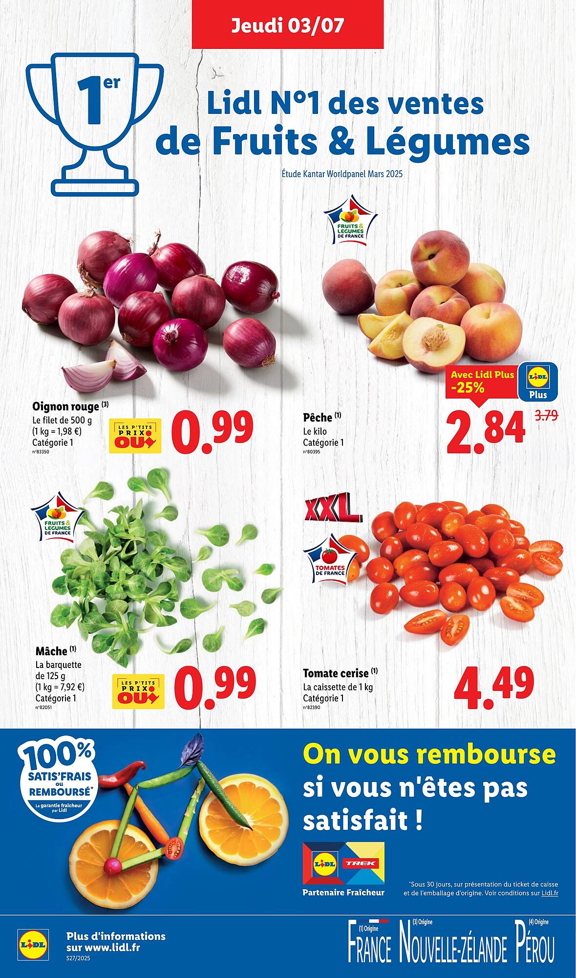 Lidl Catalogue