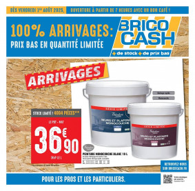 Brico Cash Catalogue