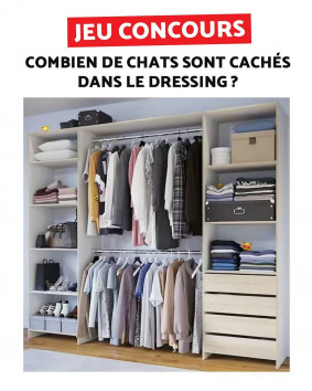 Bricomarché Catalogue