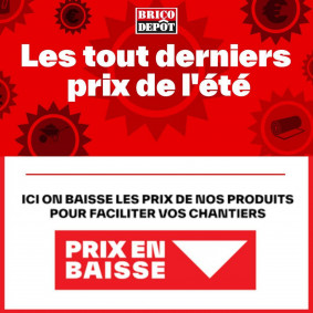 Brico Dépôt Catalogue