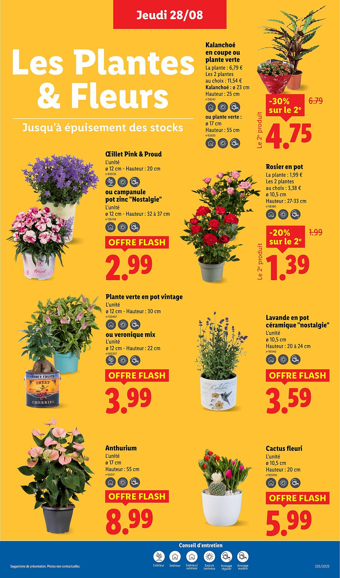 Lidl Catalogue - Pagina 27
