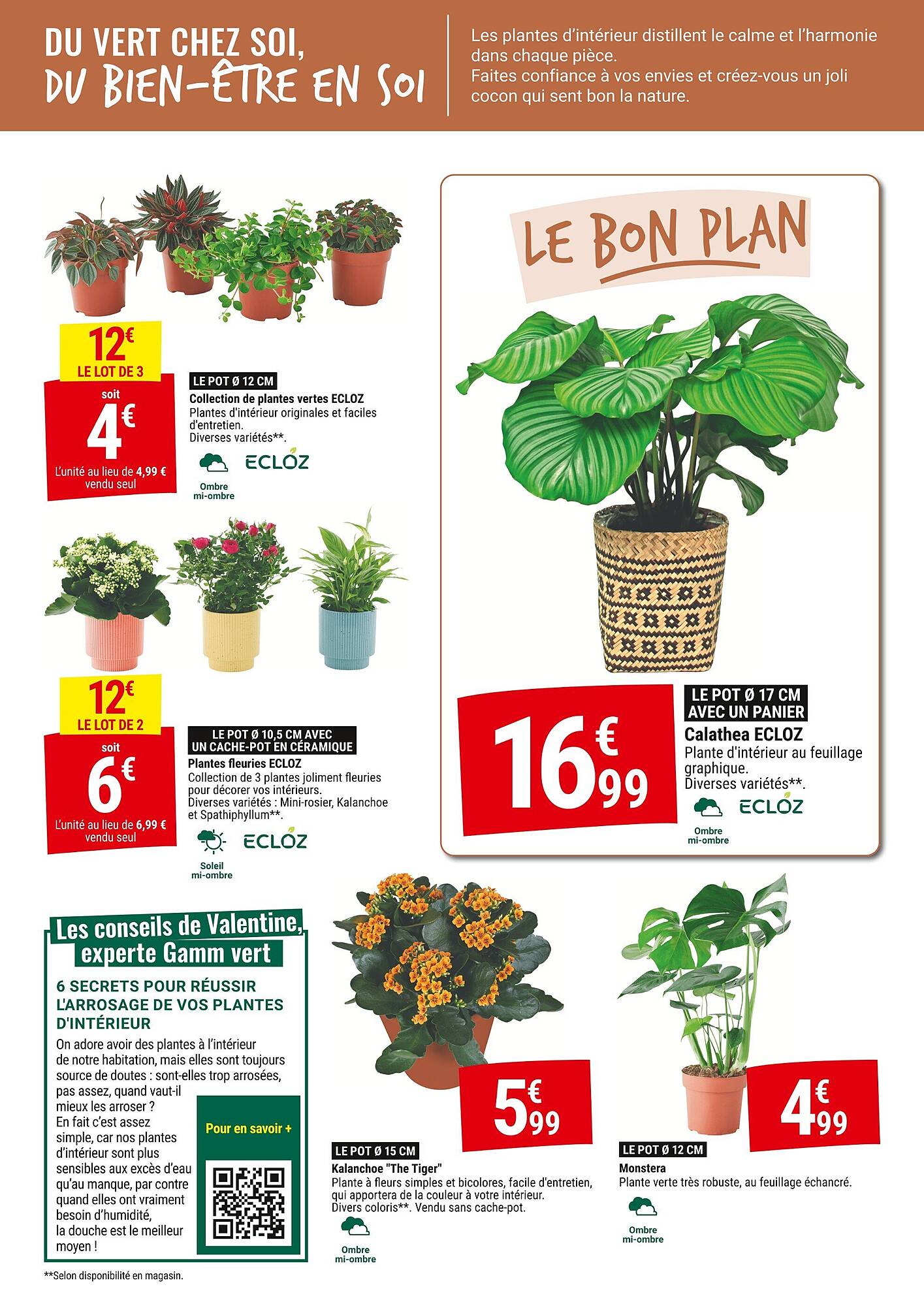 Gamm vert Catalogue - Pagina 3