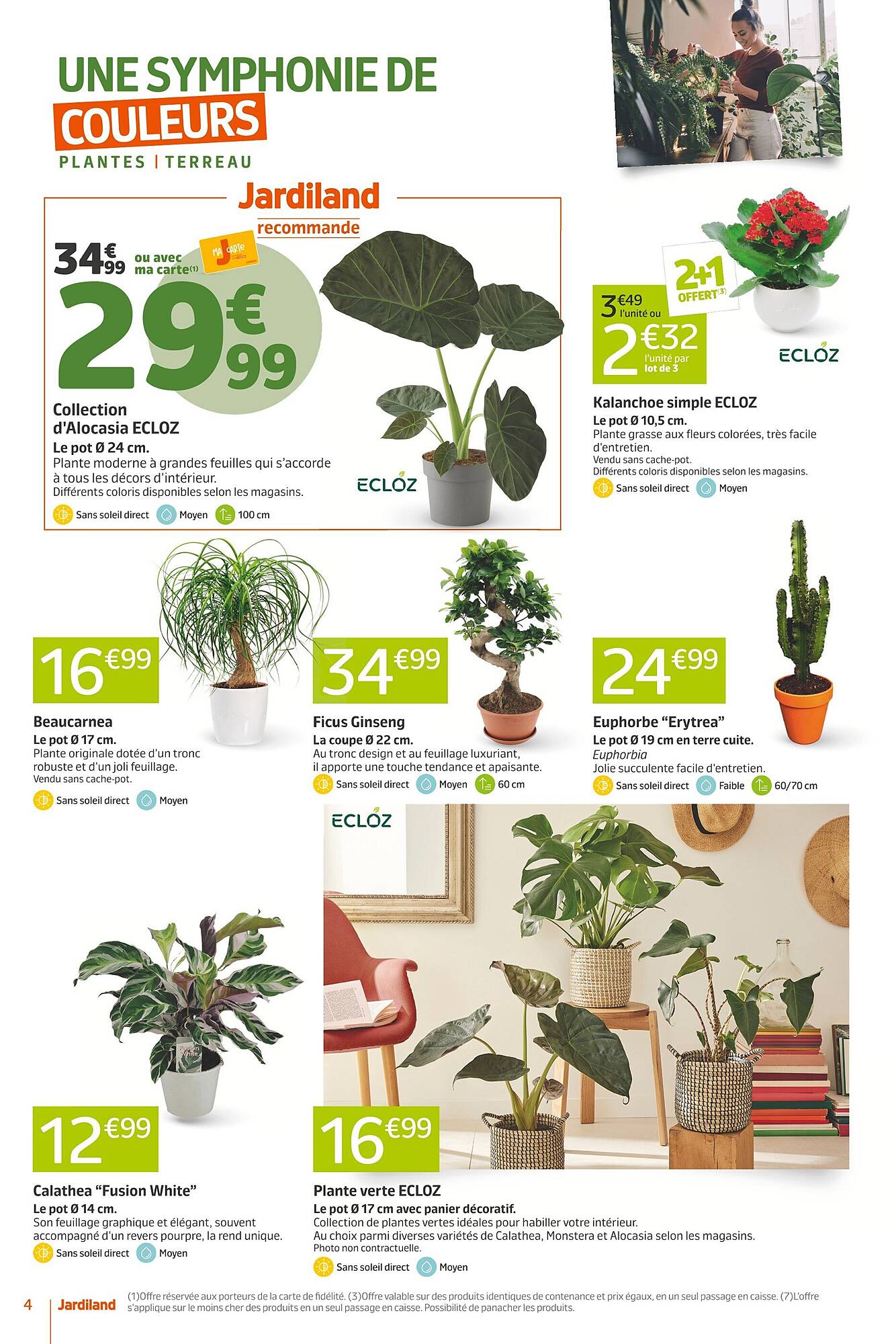 Jardiland Catalogue - Pagina 4