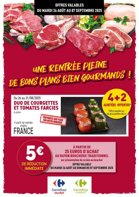 Carrefour Catalogue
