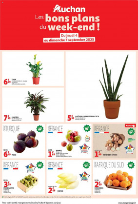 Auchan Catalogue