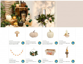 TEDi Catalogue