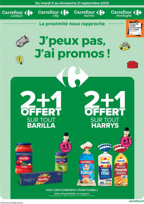 Carrefour Contact Catalogue