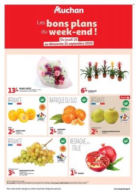 Auchan Catalogue
