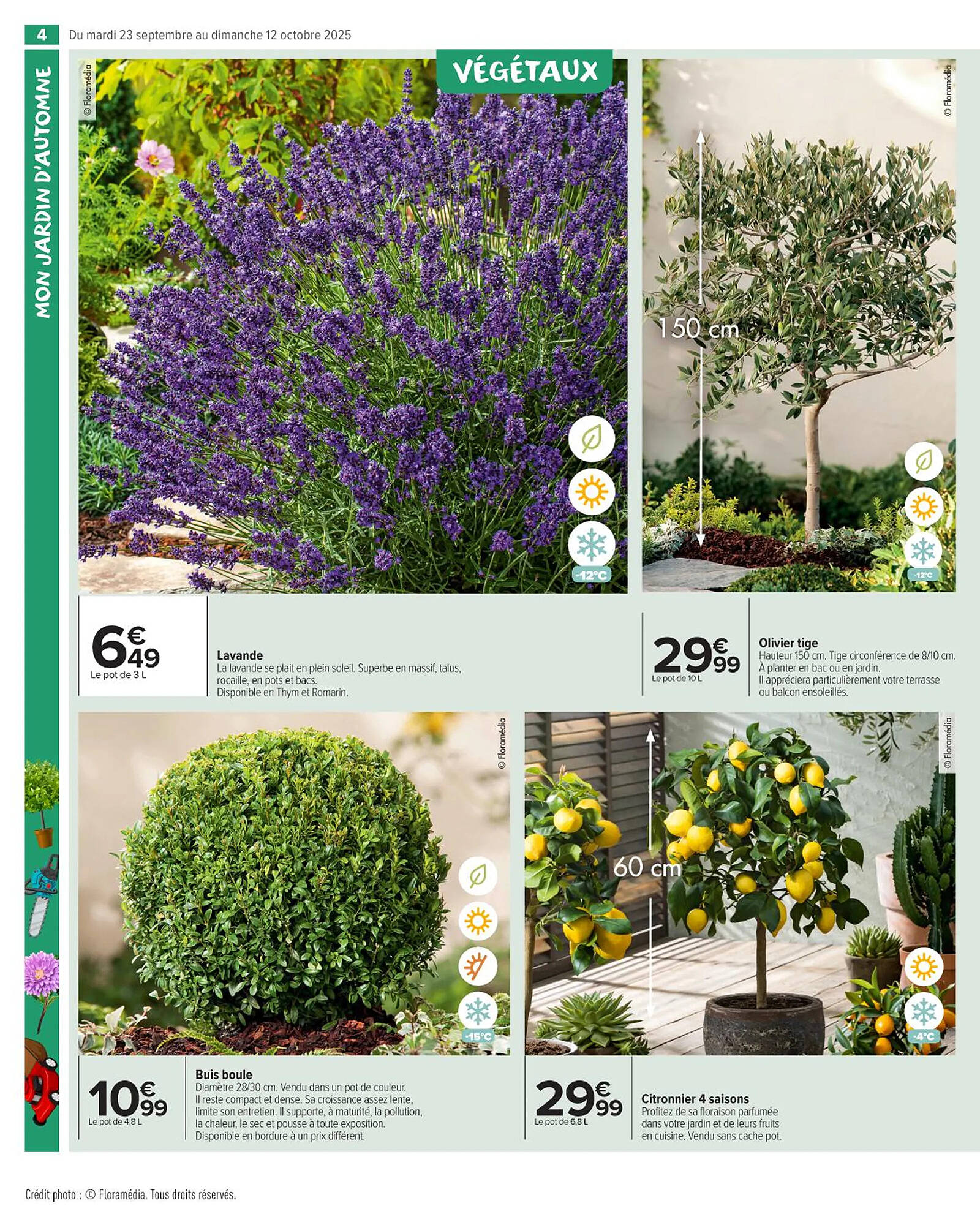 Carrefour Market Catalogue - Pagina 6
