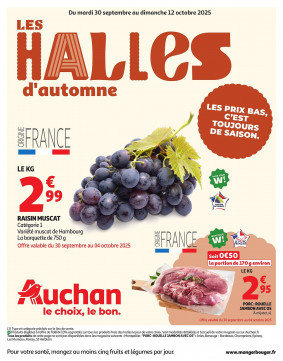 Auchan Catalogue