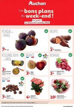 Auchan Catalogue