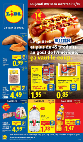 Lidl Catalogue