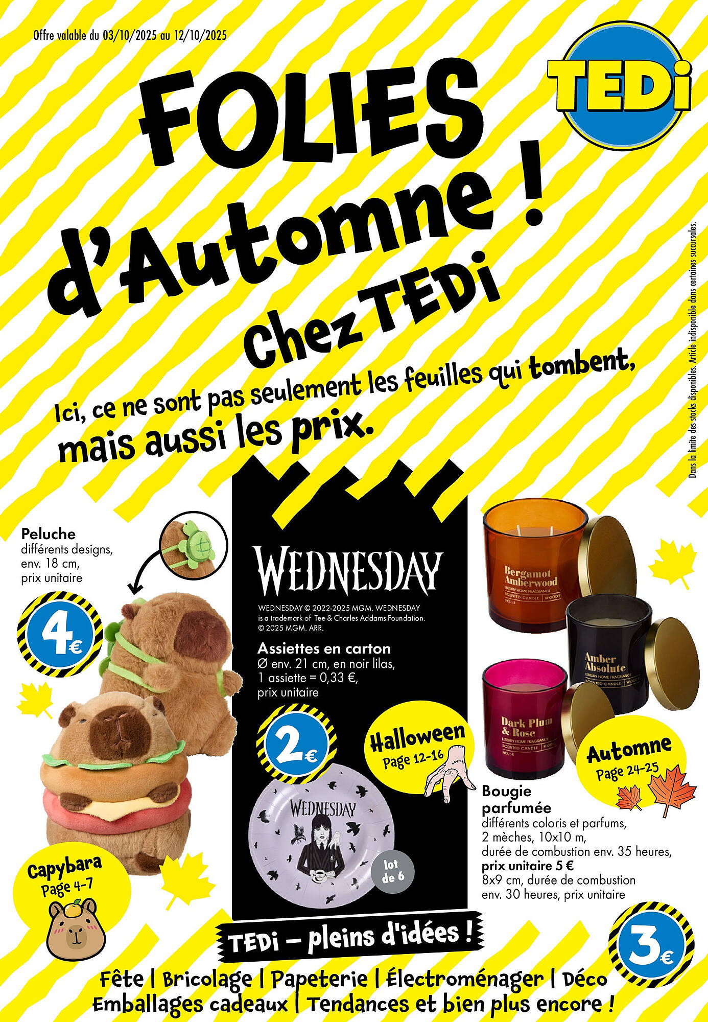 TEDi Catalogue - Pagina 1