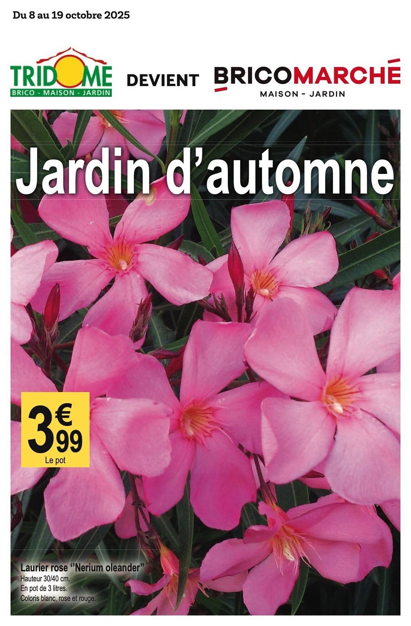 Tridôme Catalogue - Pagina 1
