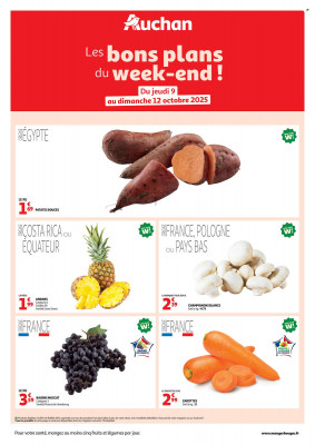 Auchan Catalogue