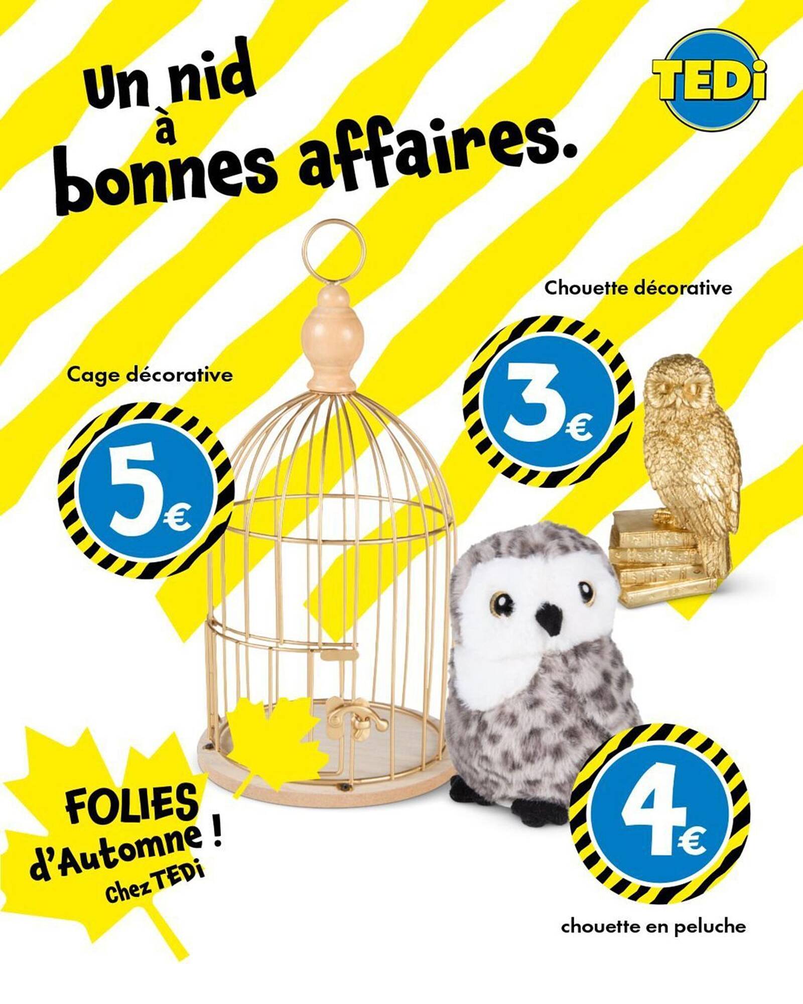 TEDi Catalogue - Pagina 2