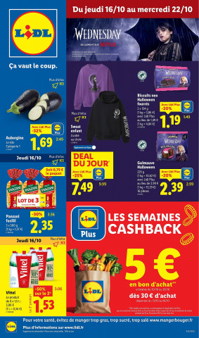 Lidl Catalogue