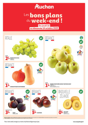 Auchan Catalogue