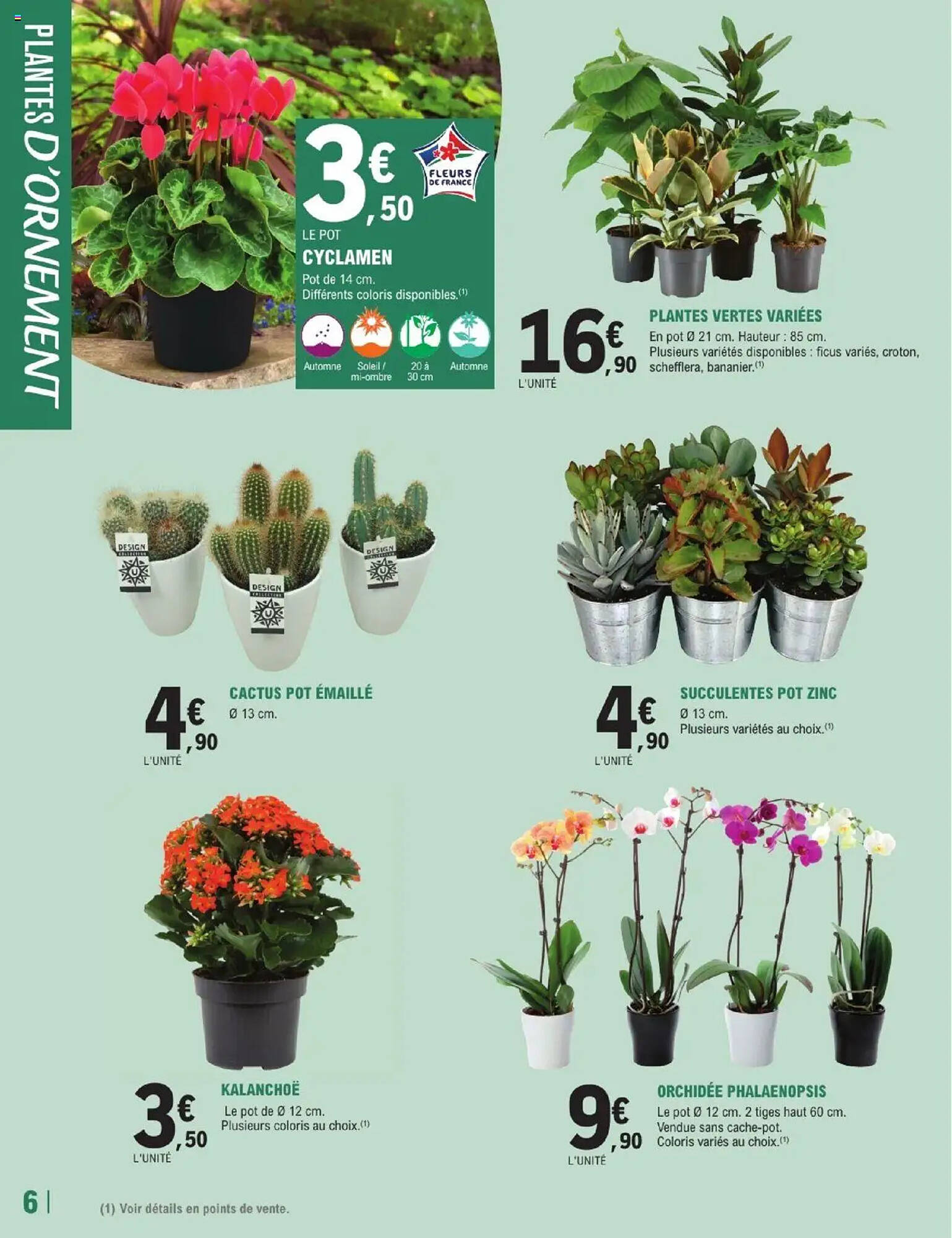 E.Leclerc Brico Catalogue - Pagina 6