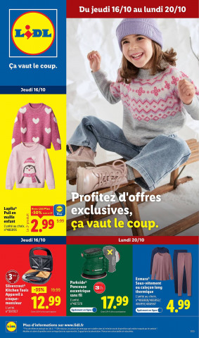 Lidl Catalogue