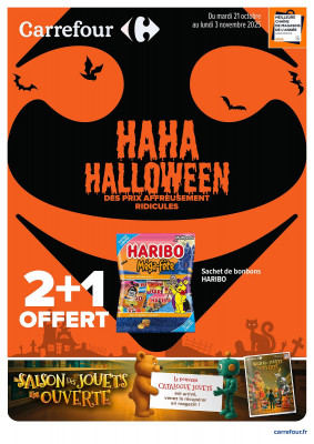 Carrefour Catalogue