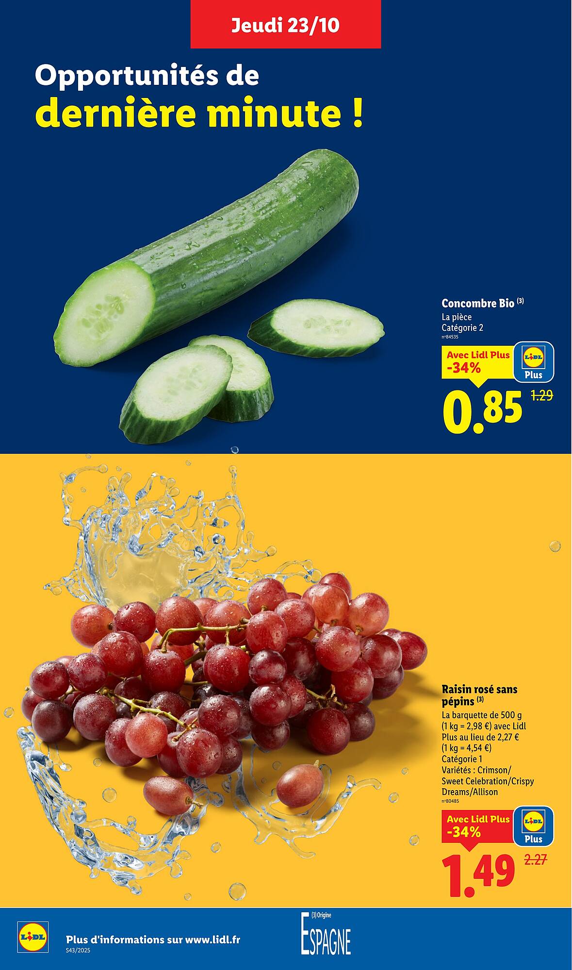 Lidl Catalogue - Pagina 4