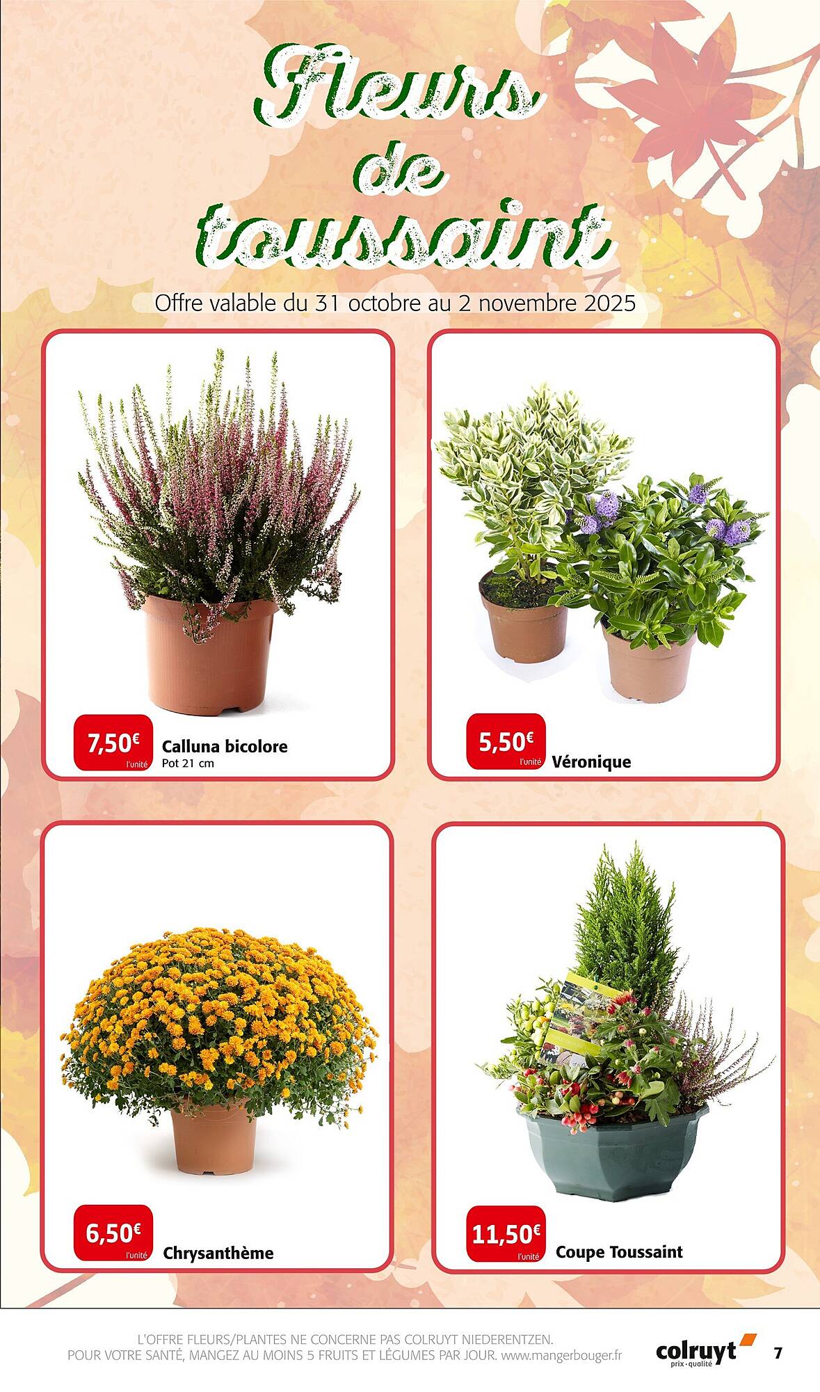 Colruyt Catalogue - Pagina 7