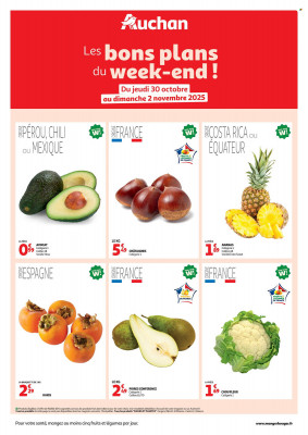 Auchan Catalogue