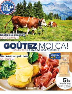 Carrefour Catalogue